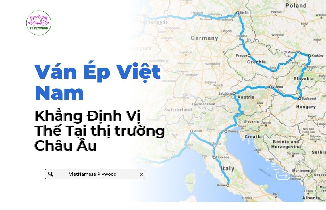 Tại Sao Ván Ép Việt Nam Được Ưa Chuộng Tại Thị Trường Châu Âu?