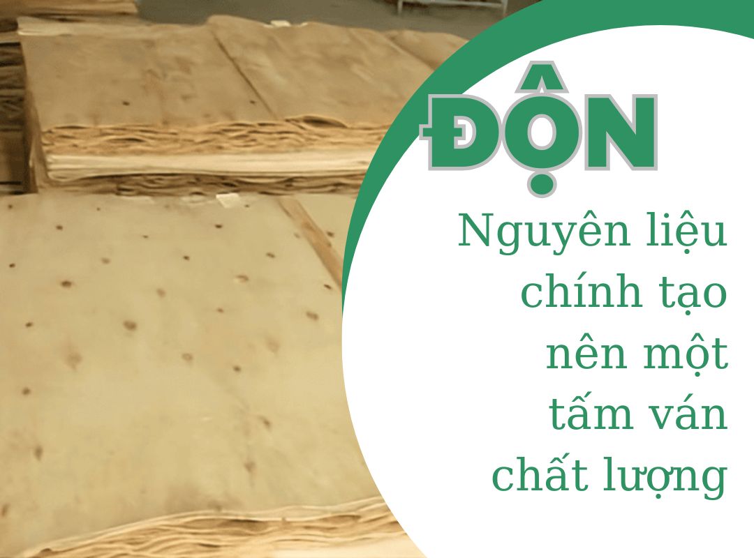 Độn ván ép: Thành phần then chốt tạo nên chất lượng vượt trội của mỗi tấm plywood