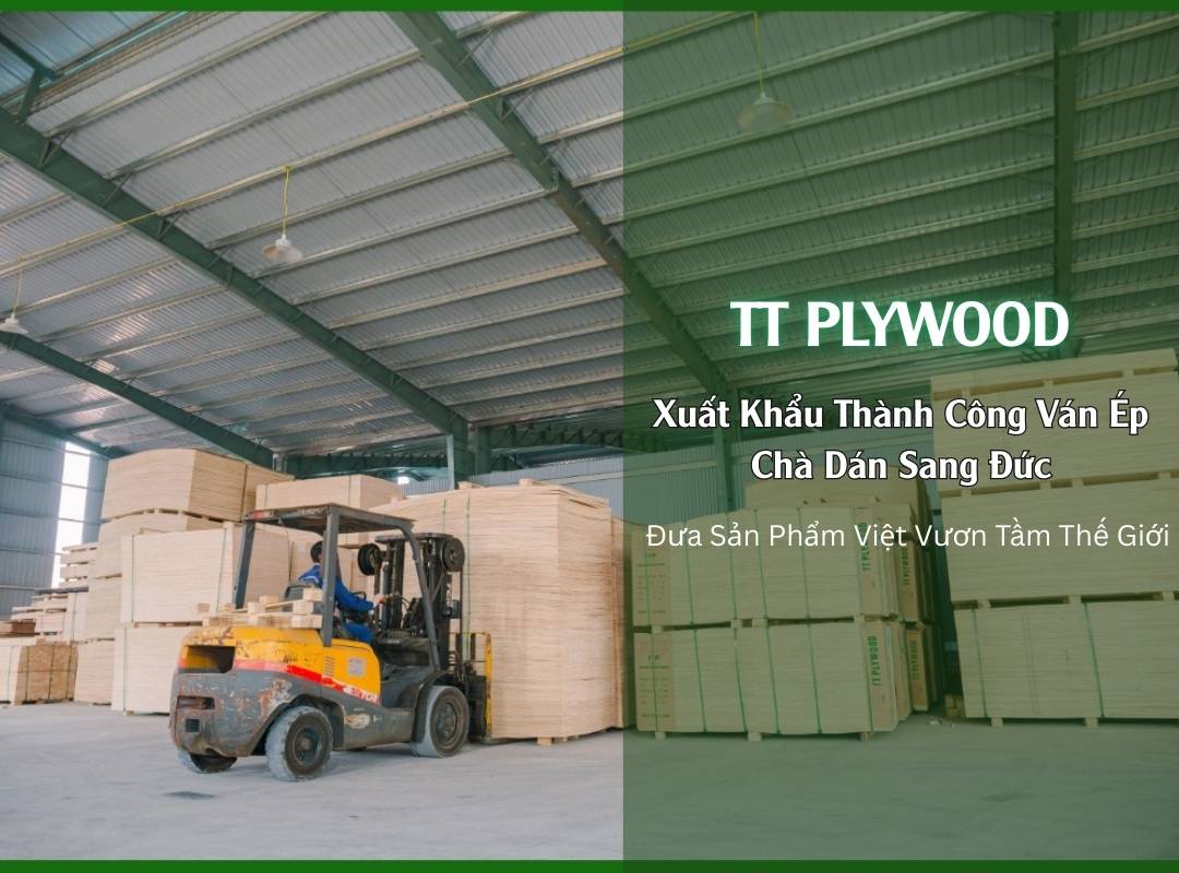 TT Plywood Xuất Khẩu Thành Công Ván Ép Chà Dán Sang Đức – Đưa Sản Phẩm Việt Vươn Tầm Thế Giới