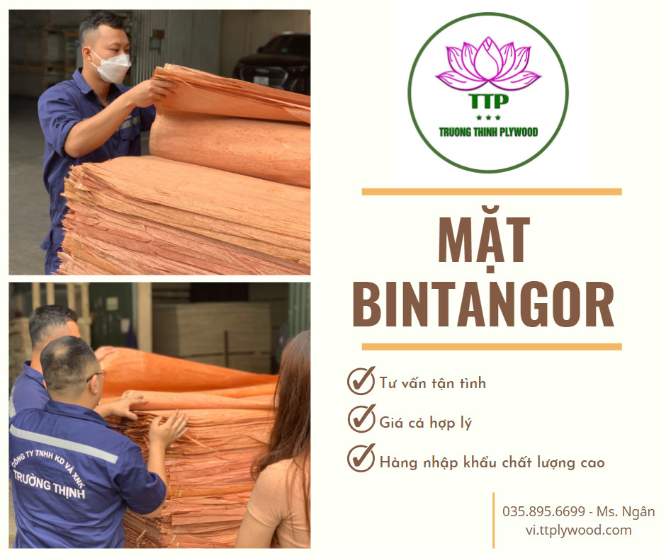 NHỮNG TIÊN CHUẨN CHỌN VÁN MẶT BINTAGOR