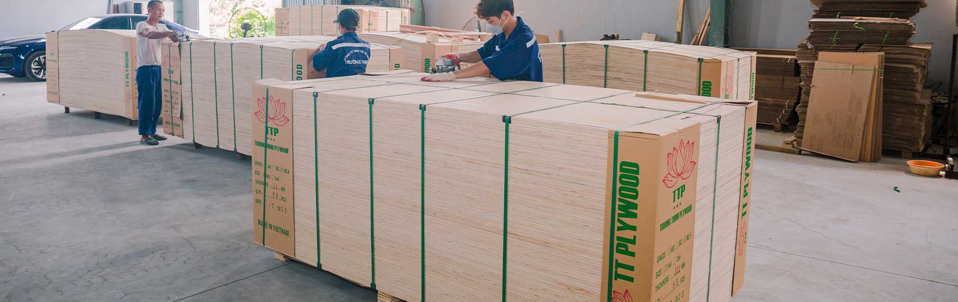 TTPLYWOOD export plywood container loading
