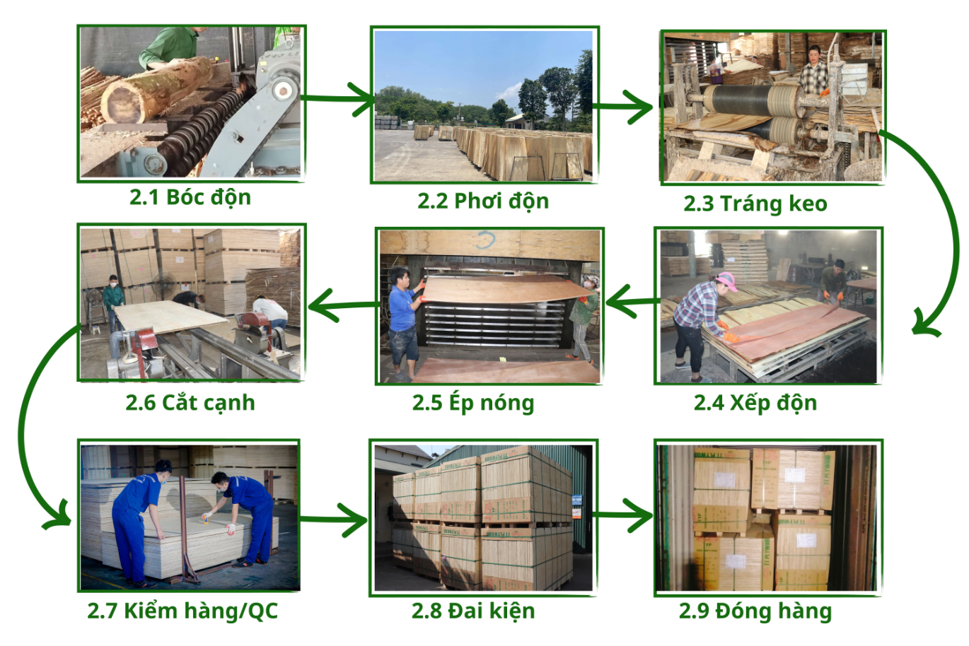 Quy trình sản xuất ván ép bao bì