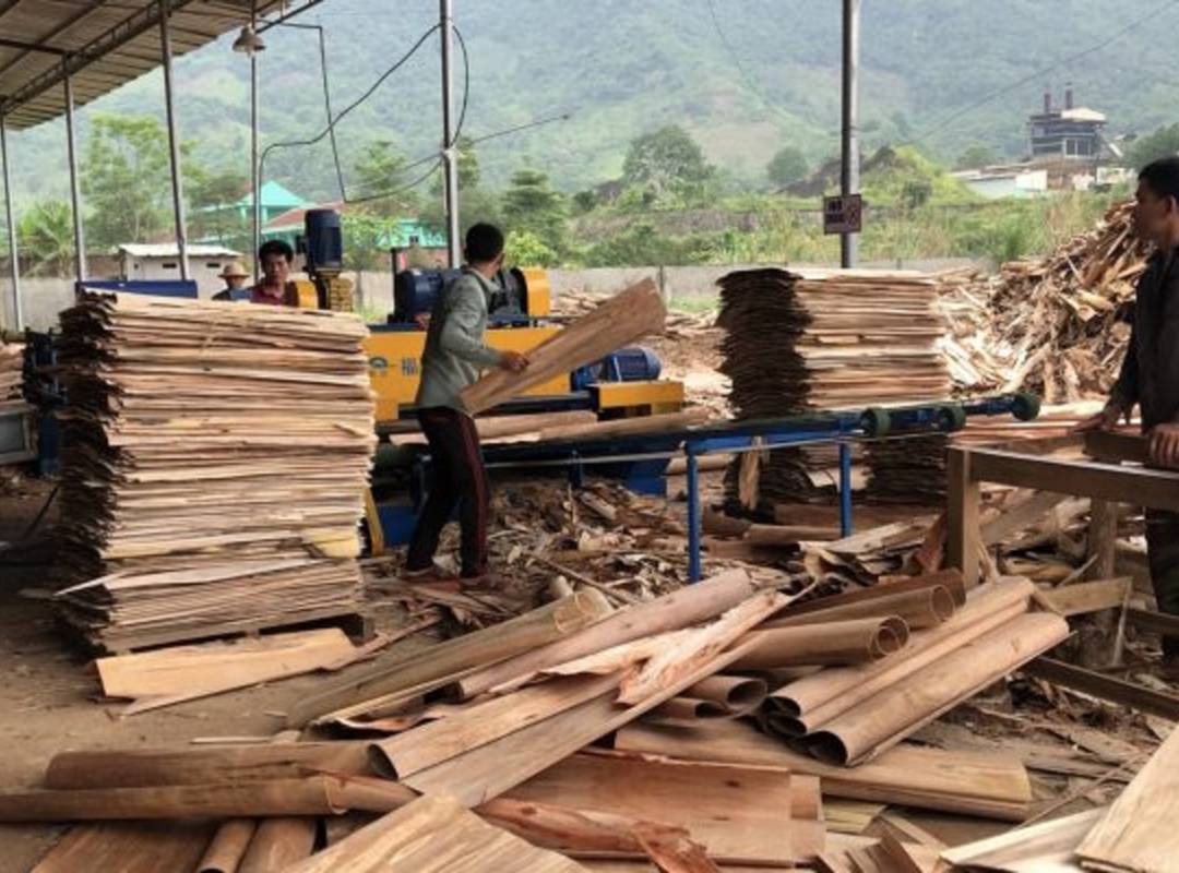 Bóc veneer từ gỗ tròn