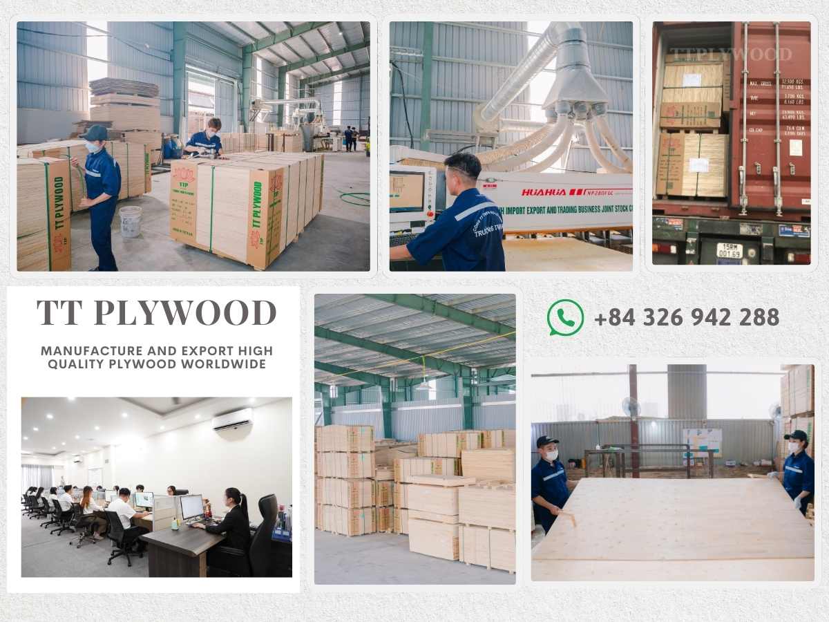 TT PLYWOOD
