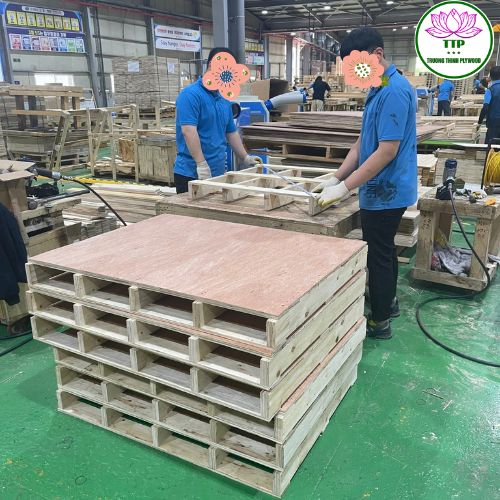 The applications of packing plywood