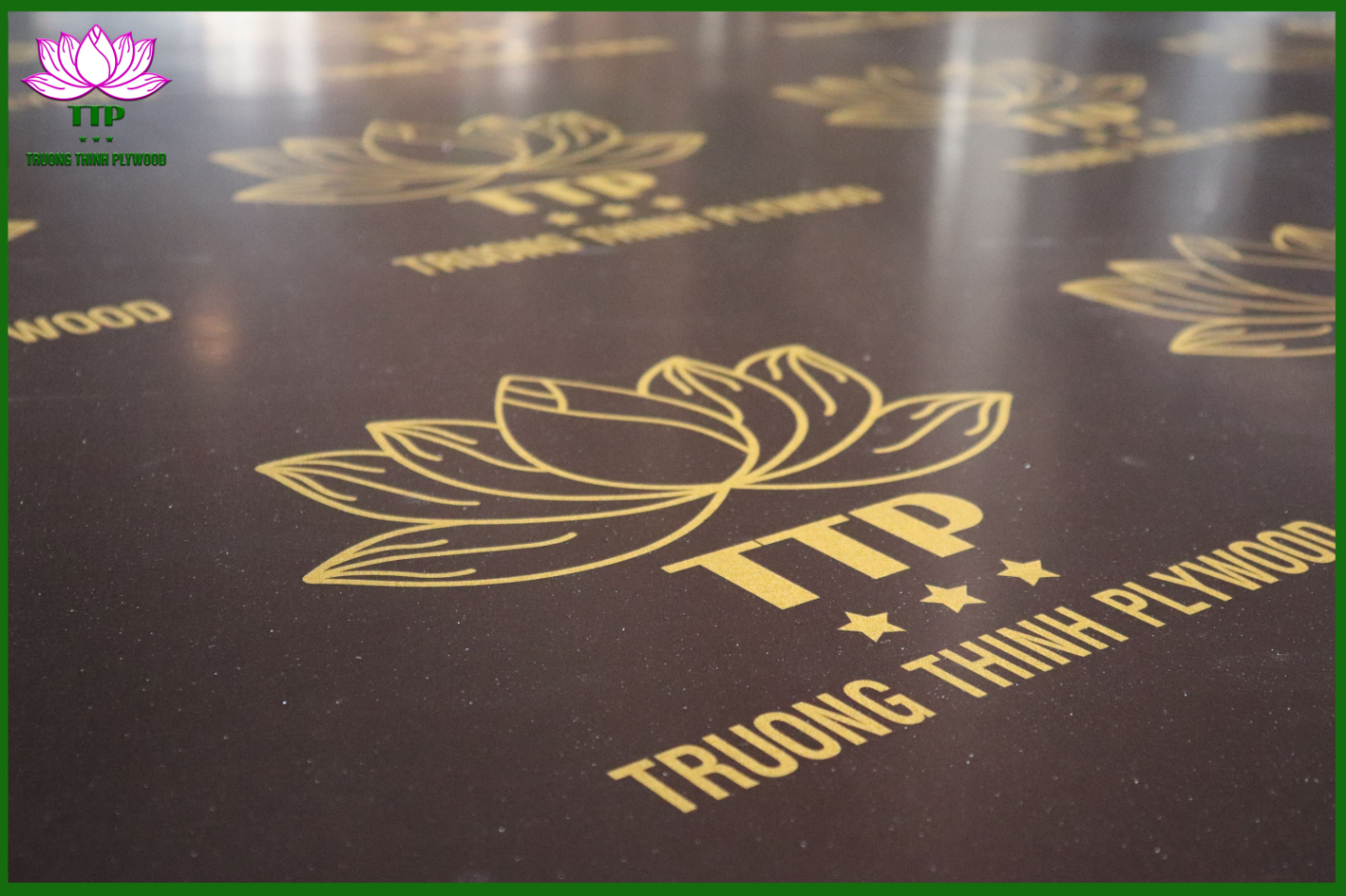 TTP - FILM FACED PLYWOOD PRODUCTION PROCESS