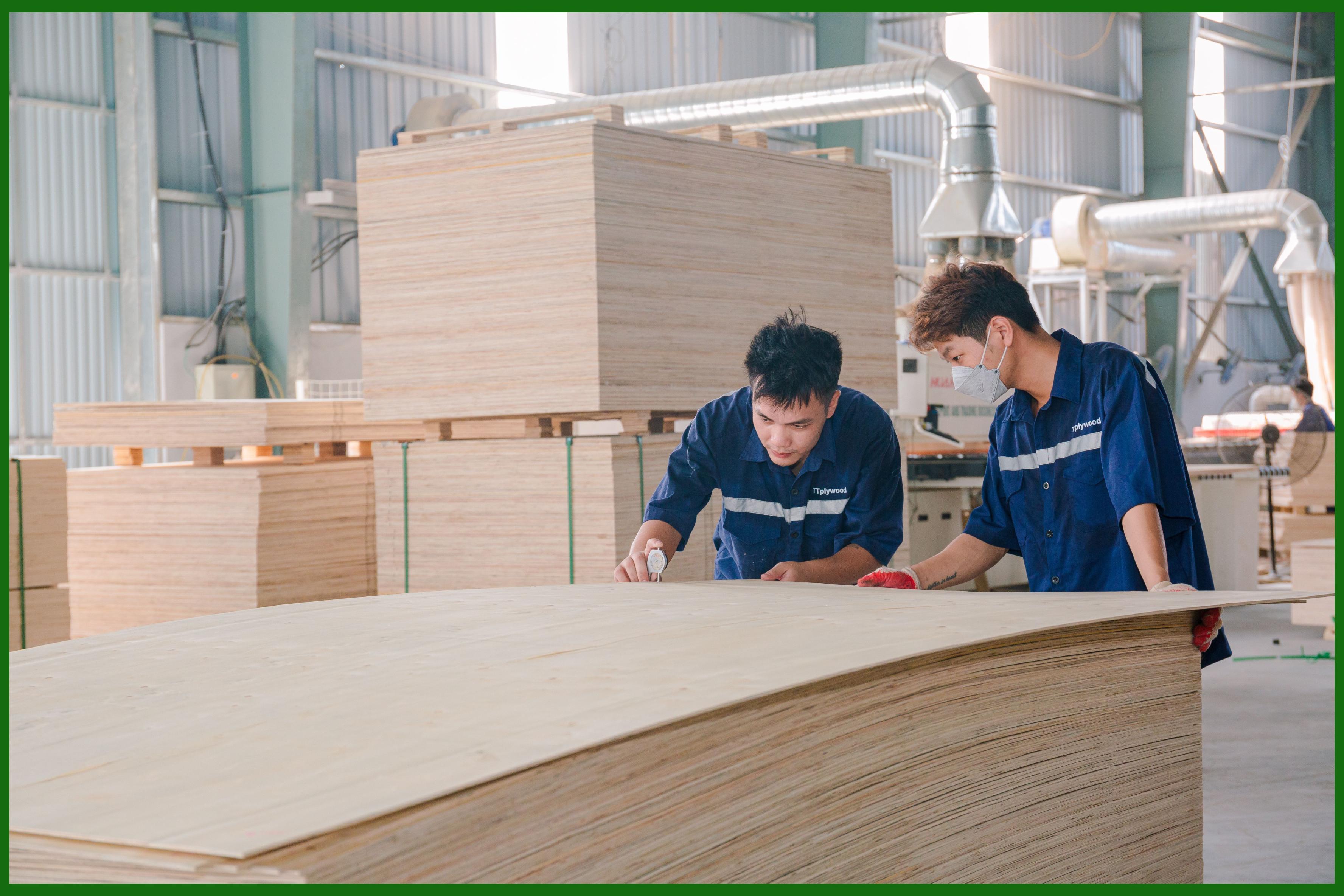 PACKING PLYWOOD - QUALITY AND CHEAP PRICE