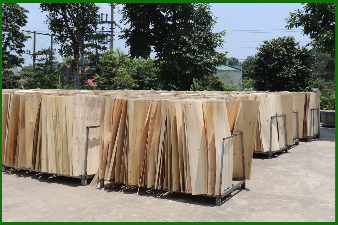 WHY WE MUST DRY THE VENEERS BEFORE PLYWOOD PRODUCTION?