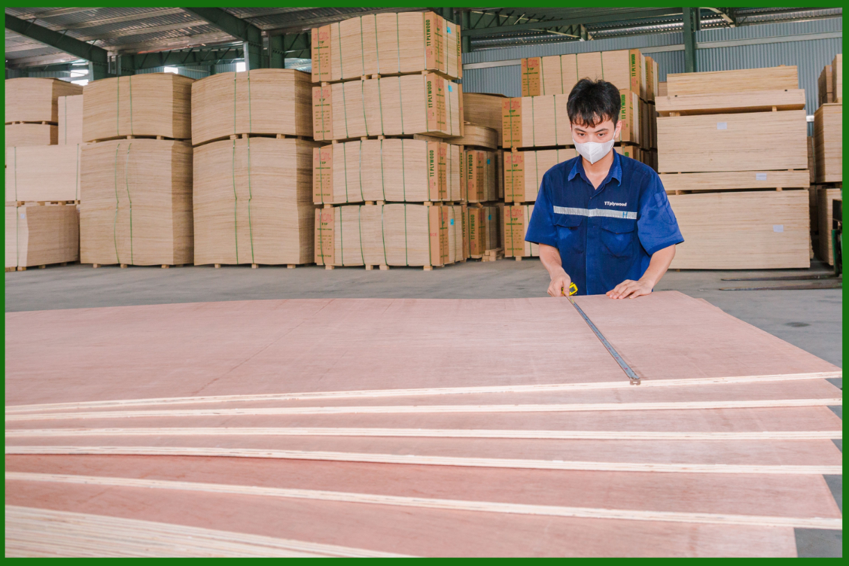 6 KEY POINTS WHEN INSPECTING COMMERCIAL PLYWOOD