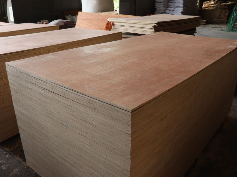 6 Key Points to Check When Inspecting Commercial Plywood