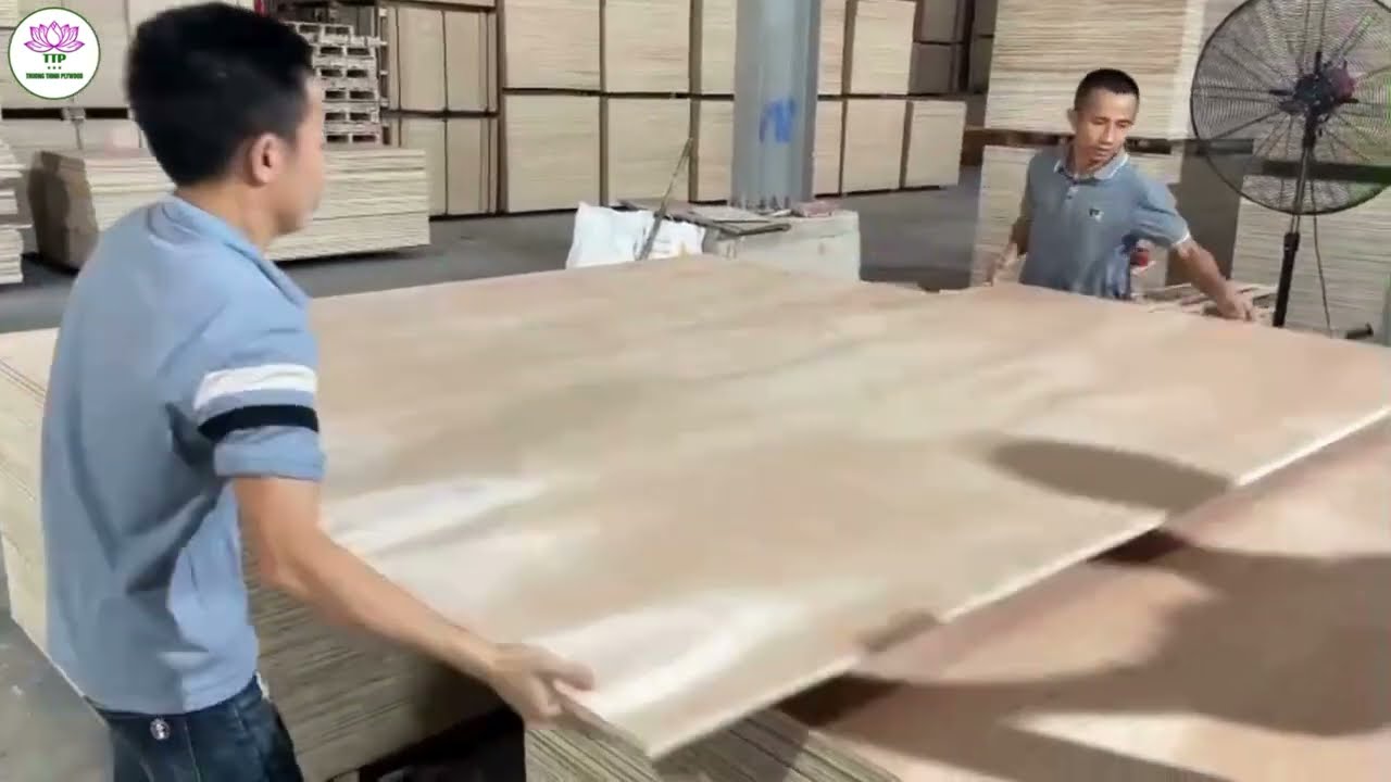 Commercial Plywood - Bintangor Face