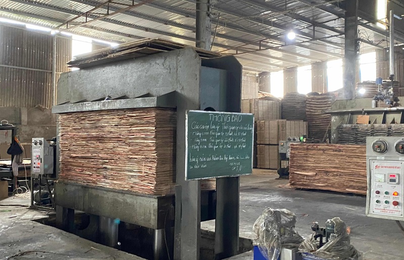 Commercial Plywood - EP4: Cold Pressing Process