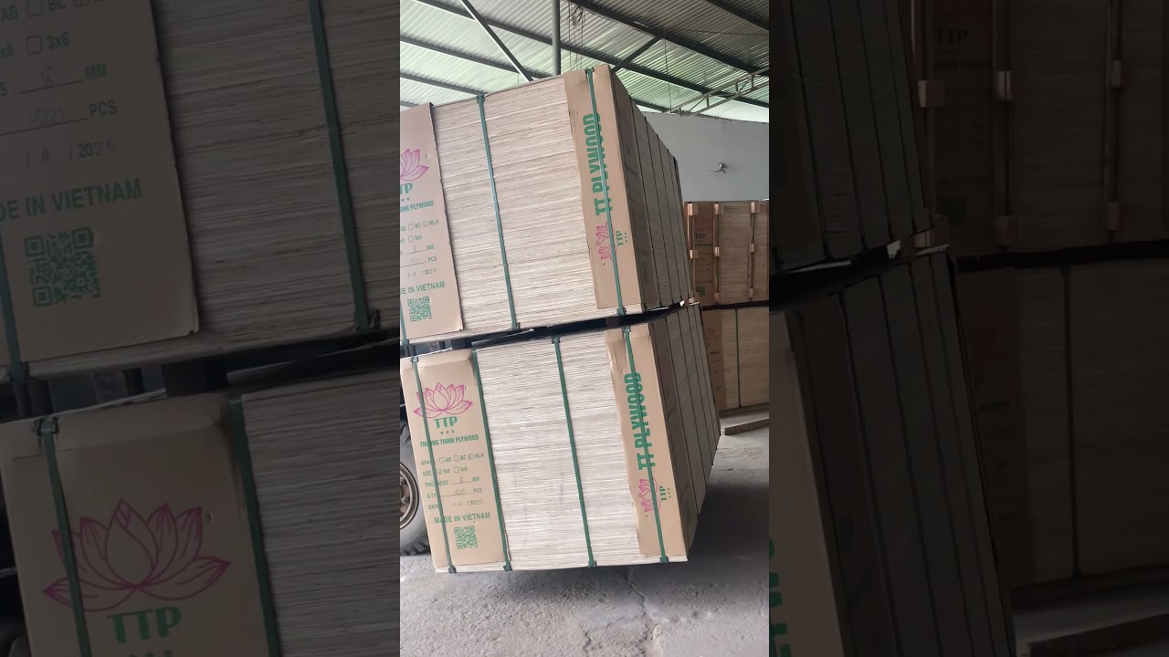 Commercial Plywood with Edge Painting for Export to India