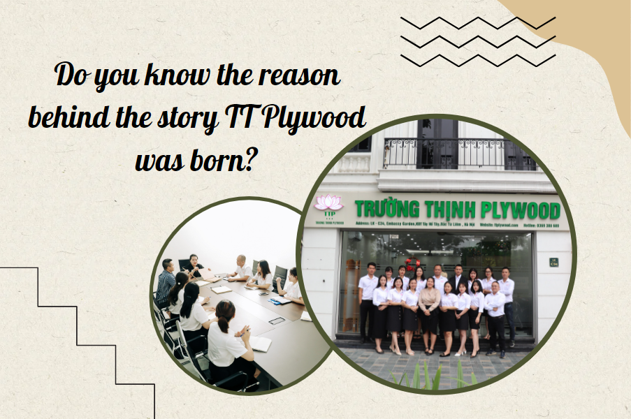 Do you know the reason behind the story TT Plywood was born?