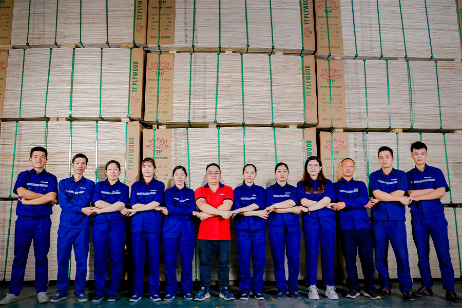 Vietnam plywood supplier - How to find the best supplier?