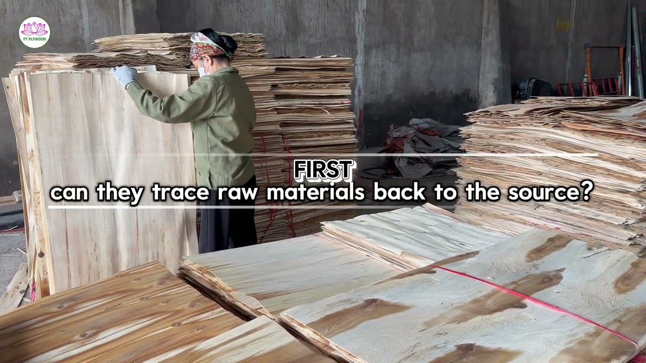 EUDR is Coming – What Plywood Buyers Need to Prepare