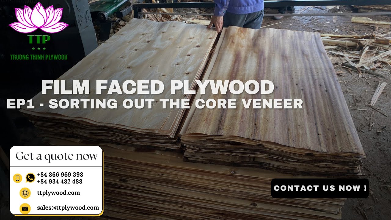 Film Faced Plywood Sorting Out The Core Veneer