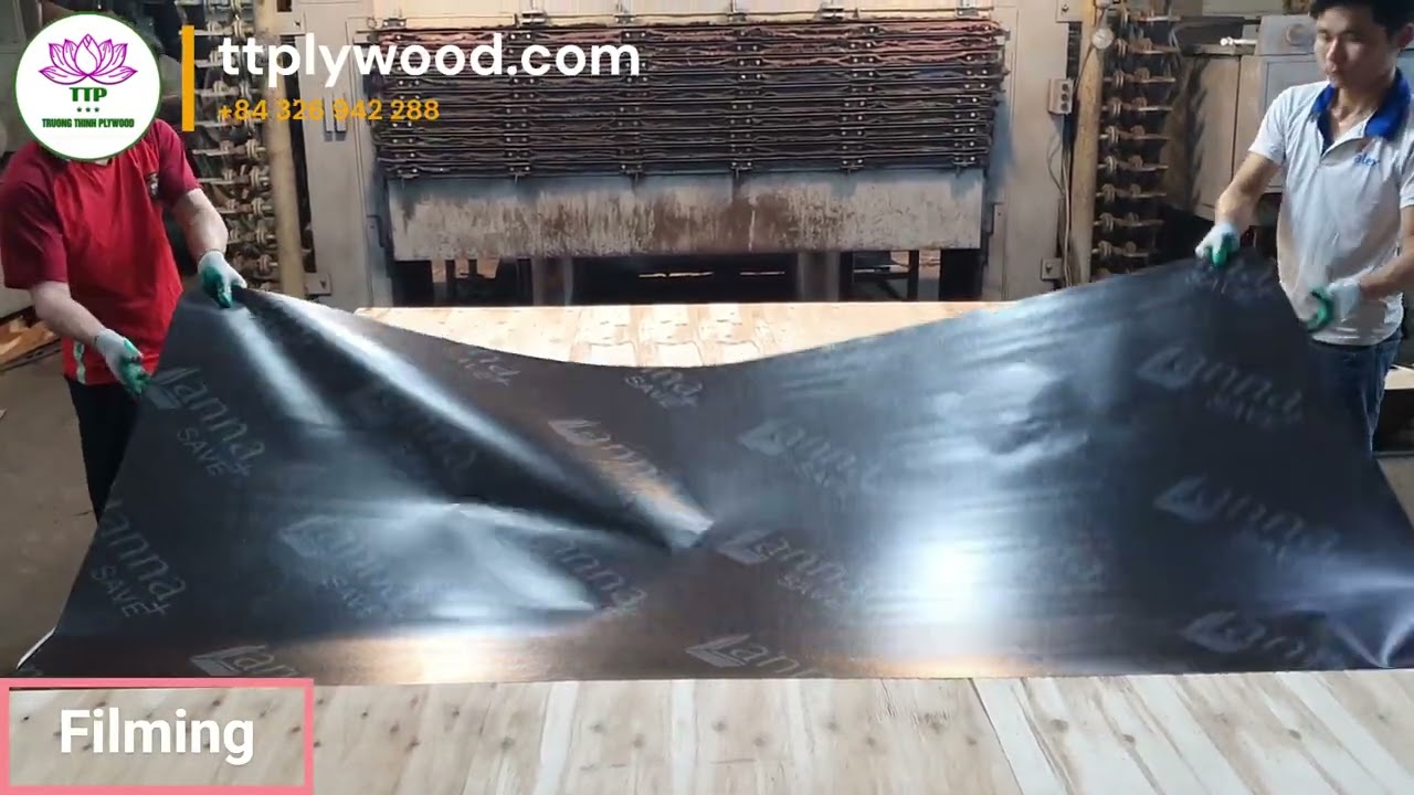 Film Faced Plywood Production Process