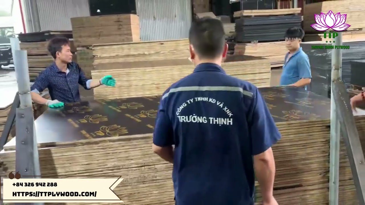 Film Faced Plywood / Shuttering Plywood for Construction Applications