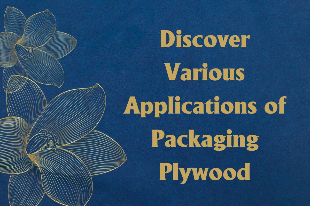 Discover Various Applications of Packaging Plywood
