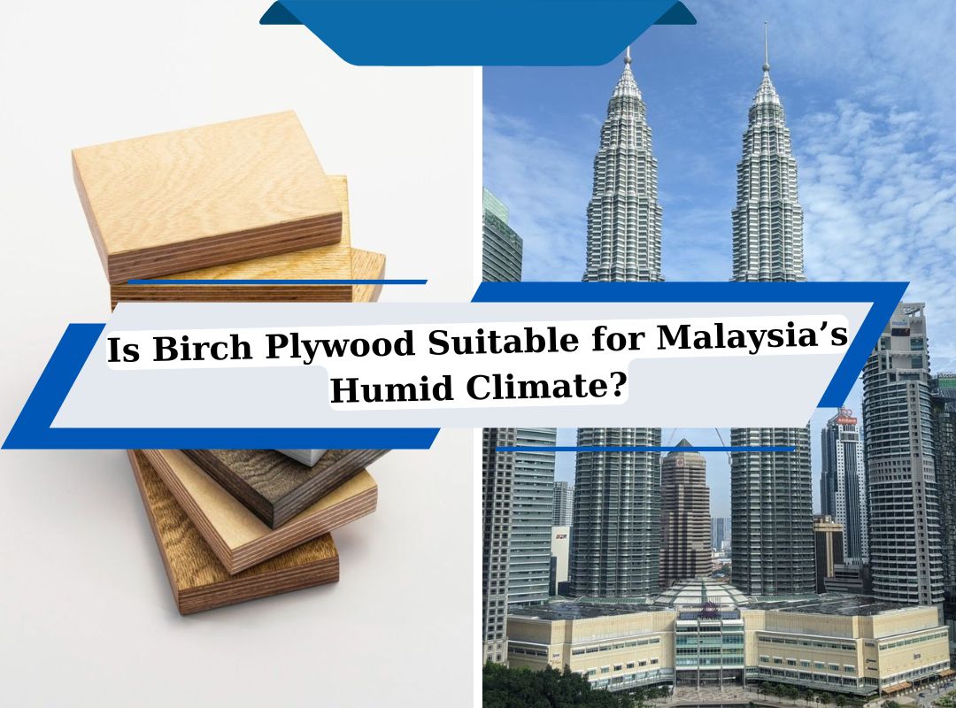 Is Birch Plywood Suitable for Malaysia’s Humid Climate?
