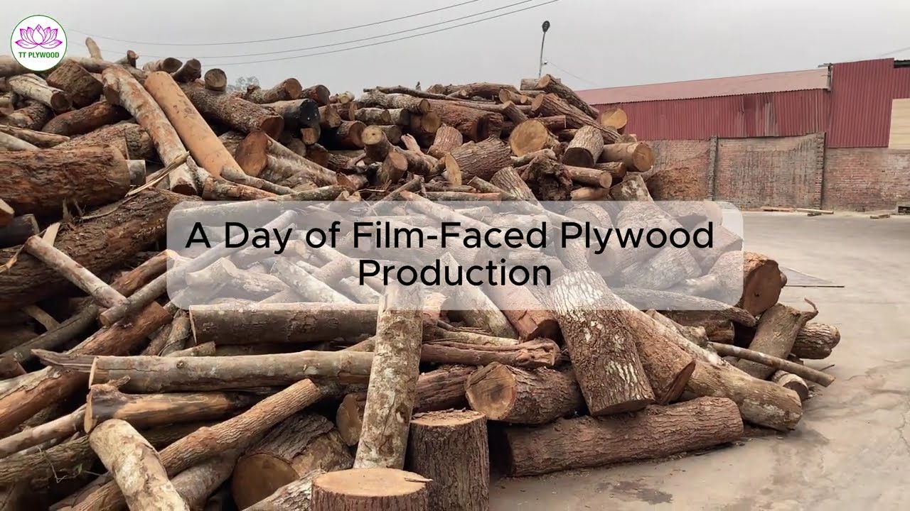 [Pov Factory Tour] How Film-Faced Plywood is REALLY Made