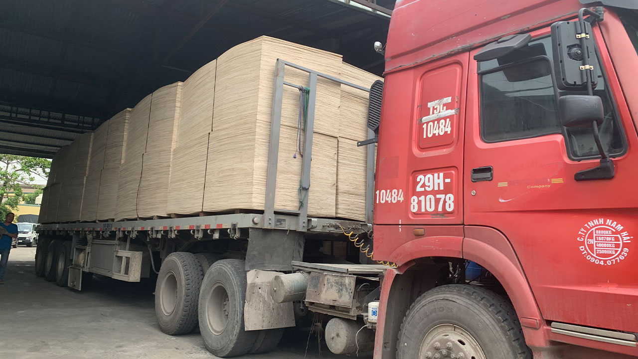 How TTPLYWOOD Ensures Quality | Inside Our Warehouse