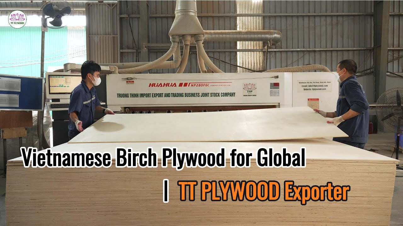 Vietnamese Birch Plywood for Global Buyers | Quality & Reliable Supply
