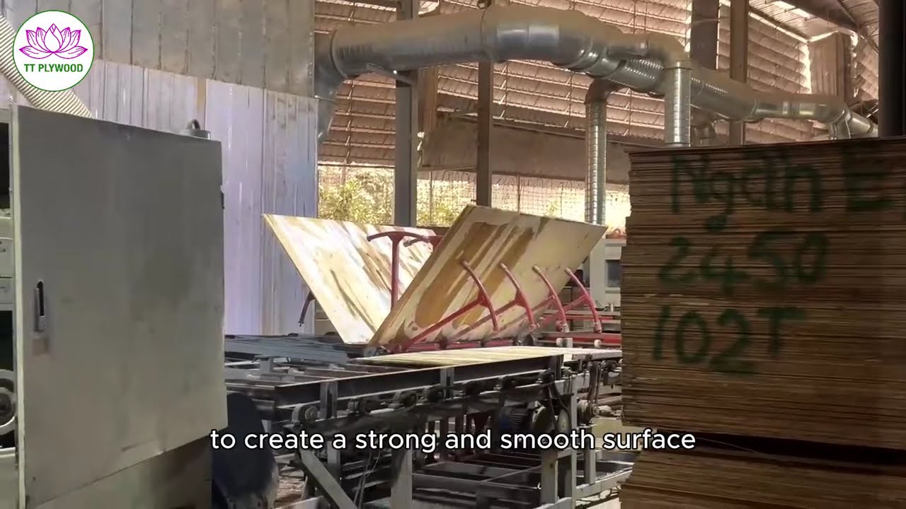 Inside TTPlywood: Film Faced Plywood Production