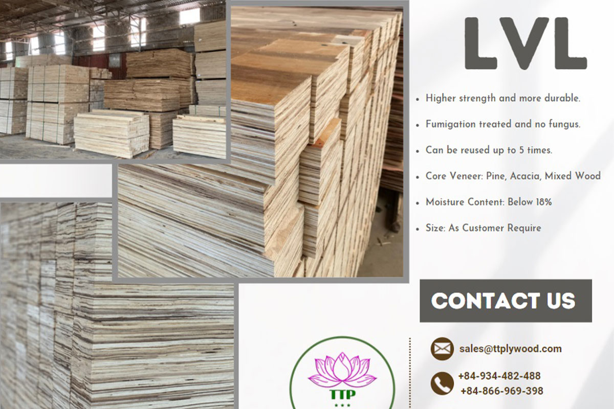 LVL - Some things about you should know?