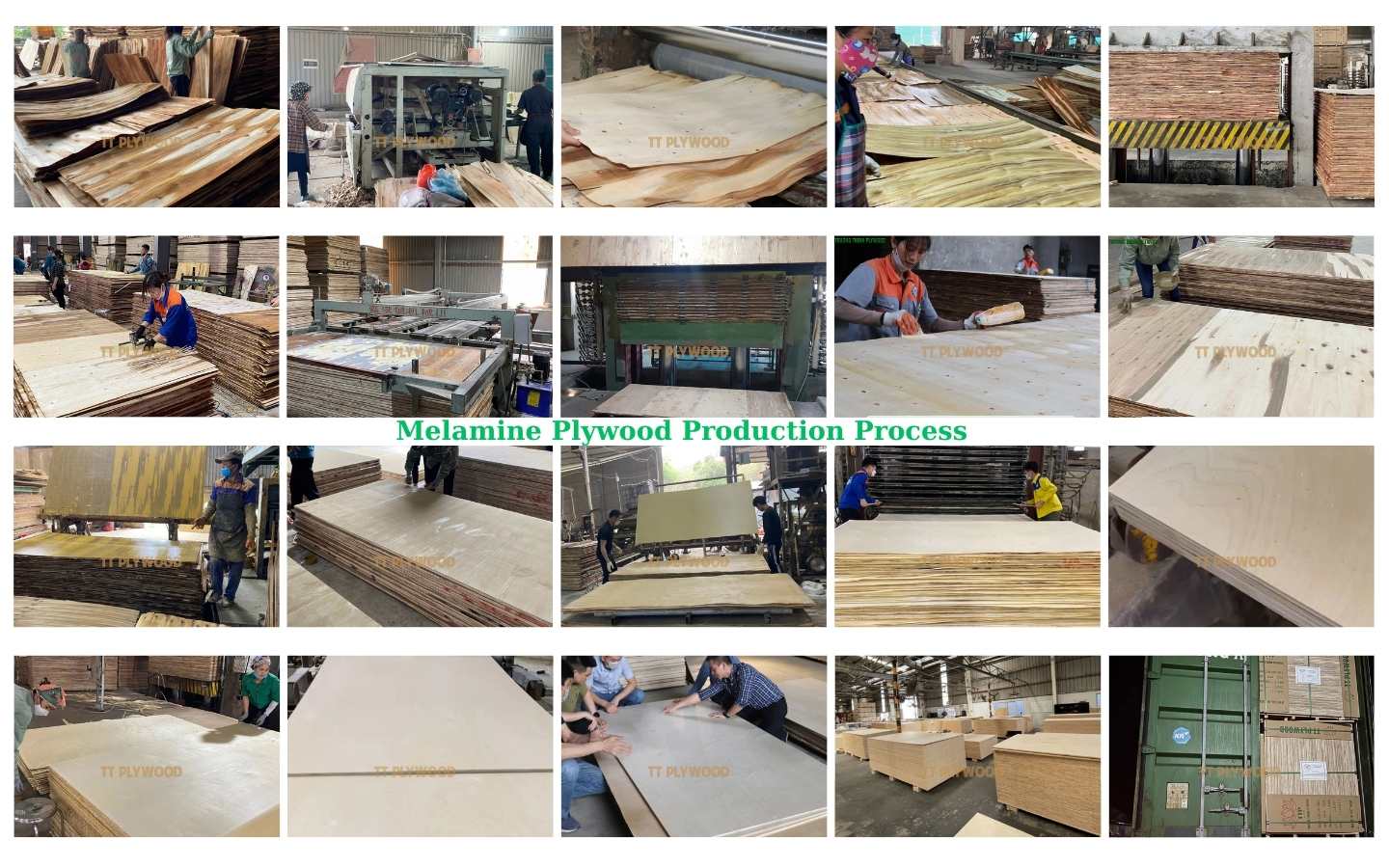 Vietnam Melamine Plywood: Production Process & Export-Grade Quality Explained