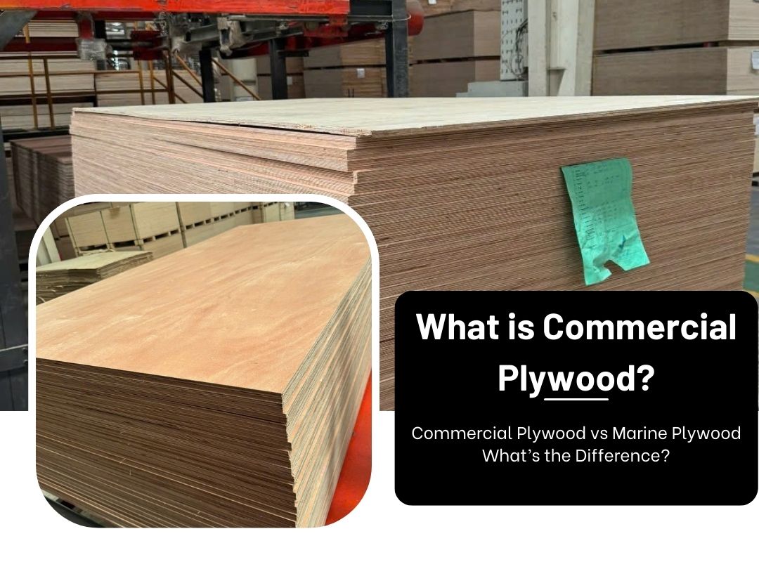 What is Commercial Plywood? Commercial Plywood vs Marine Plywood – What’s the Difference?