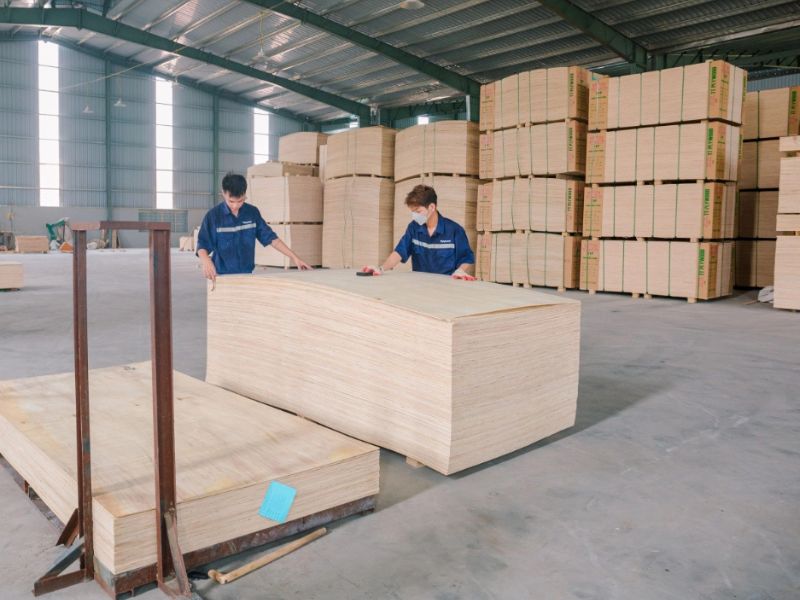Cost-Effective Packing Plywood Solutions