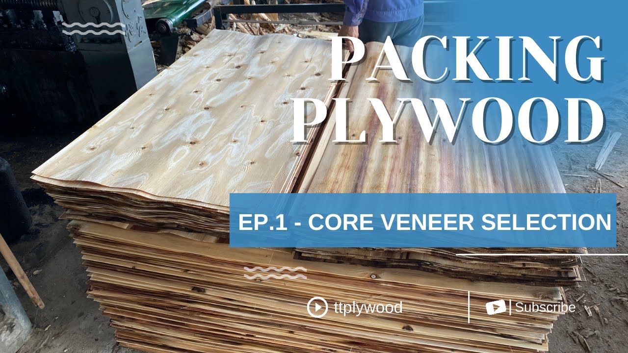 Packing plywood - EP.1 - Core Veneer Selection