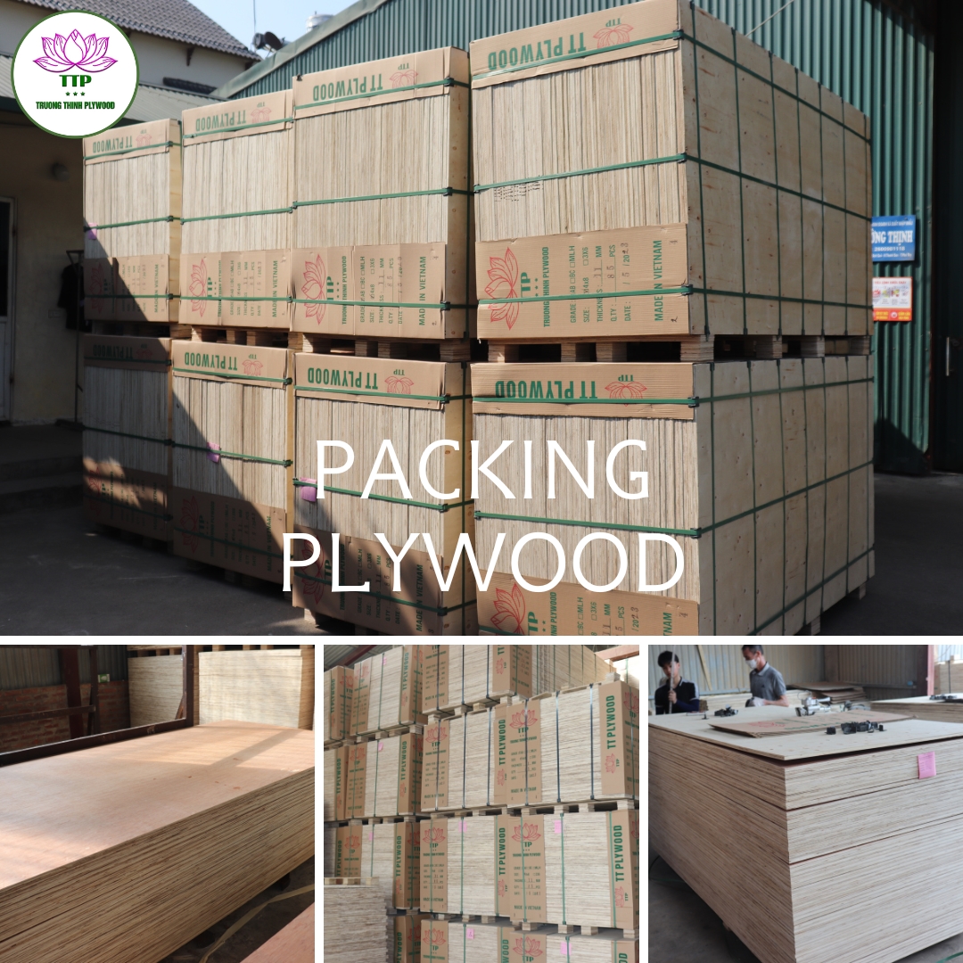 manufacturing process of packing plywood from TTP
