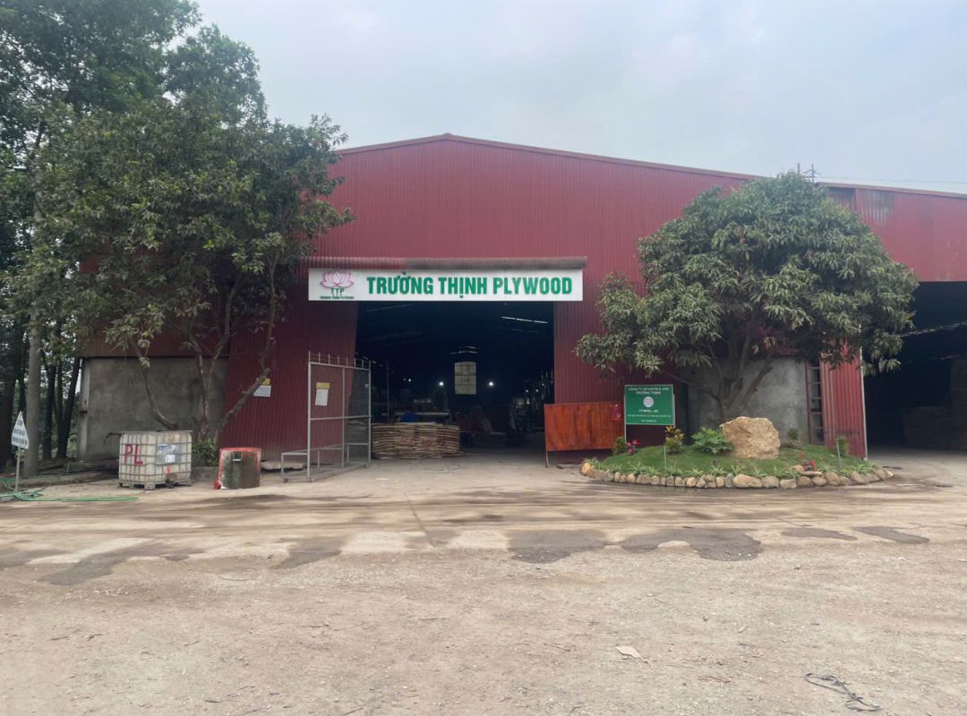 TTPlywood Expands With Its Second Factory – A Strategic Move Towards Sustainable Growth