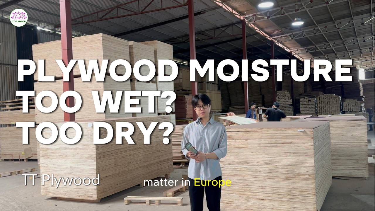 Plywood Moisture Control – Avoid Warping and Cracking