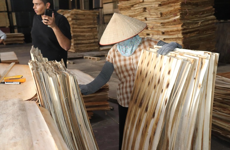 Commercial Plywood - EP1.Selecting The Core Veneer