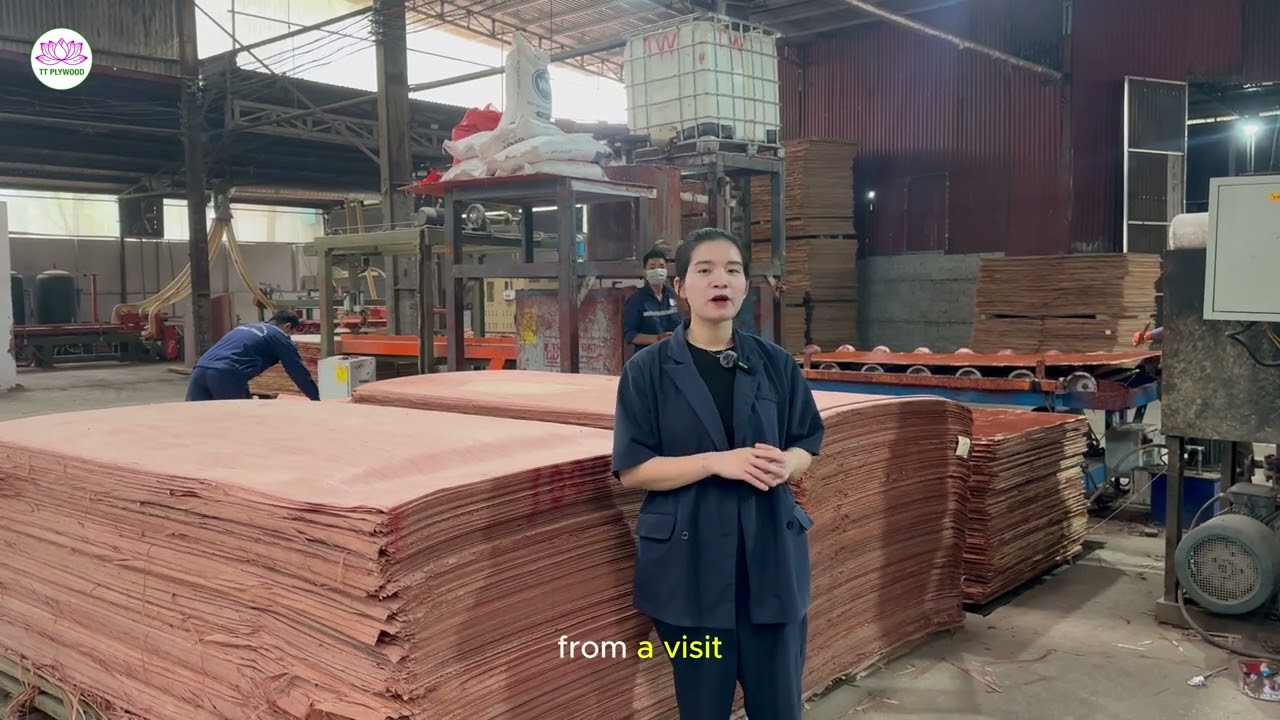Should You Visit a Plywood Factory in Vietnam?