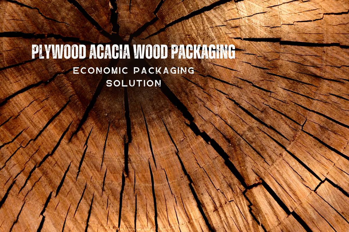 Acacia Packaging Plywood – An Economical Packaging Solution