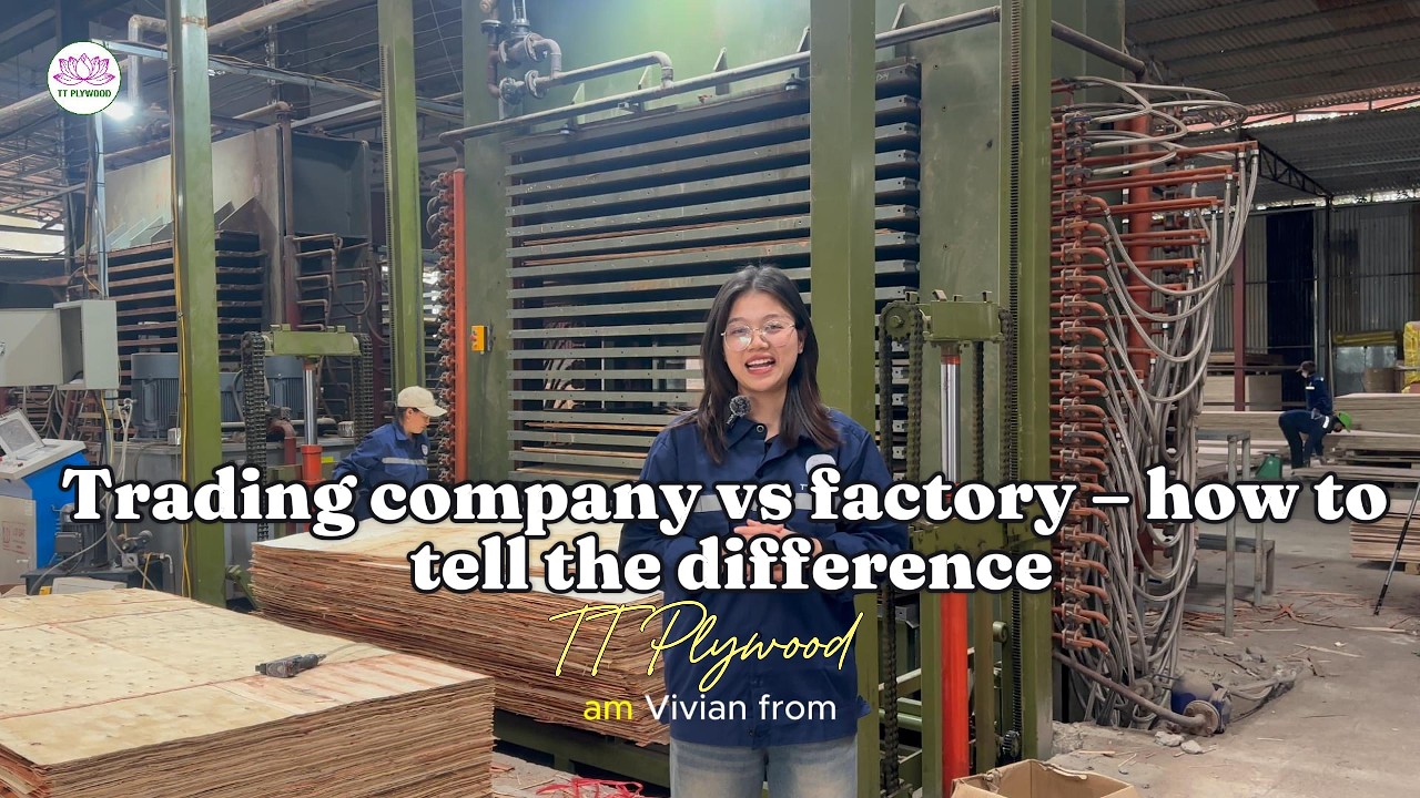 Trading Company vs Plywood Factory