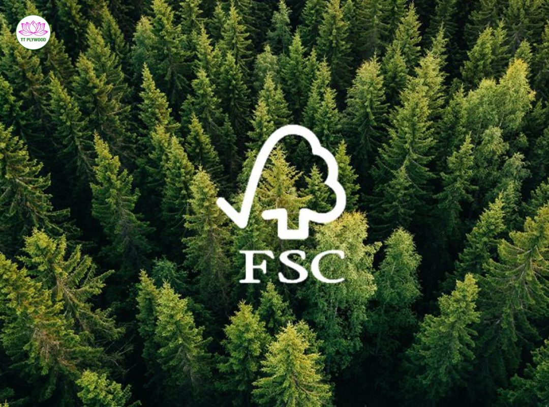 FSC Certified Film Faced Plywood: Eco-Friendly Choices for Sustainable Construction