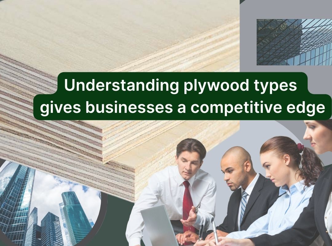 The Business Advantage of Understanding Different Types of Plywood