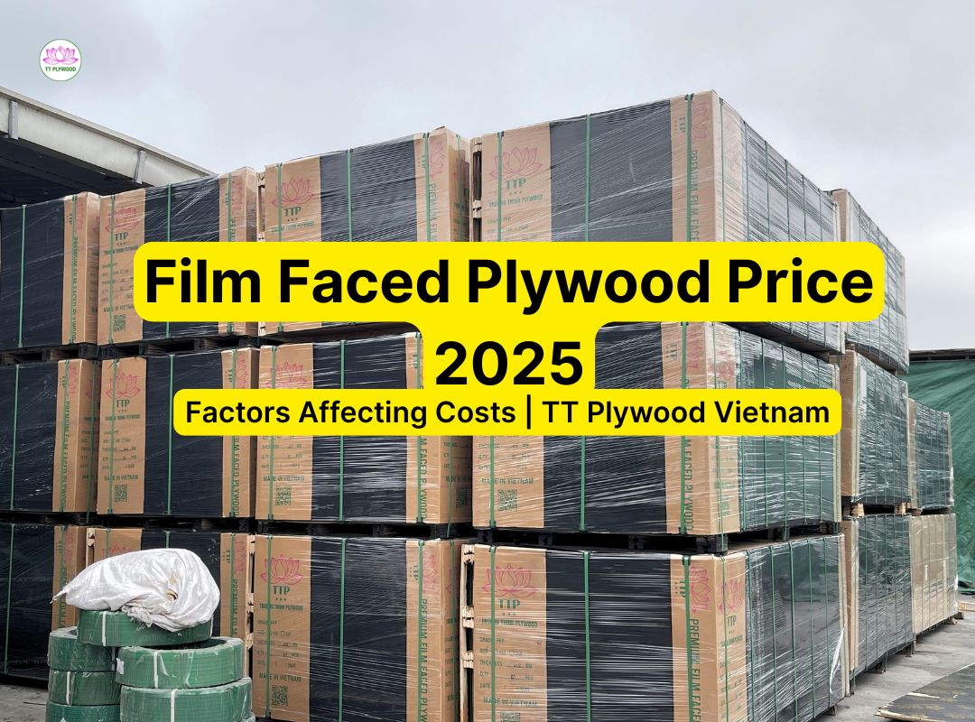 Film Faced Plywood Price: Factors Affecting Costs in 2025 | TT Plywood Vietnam