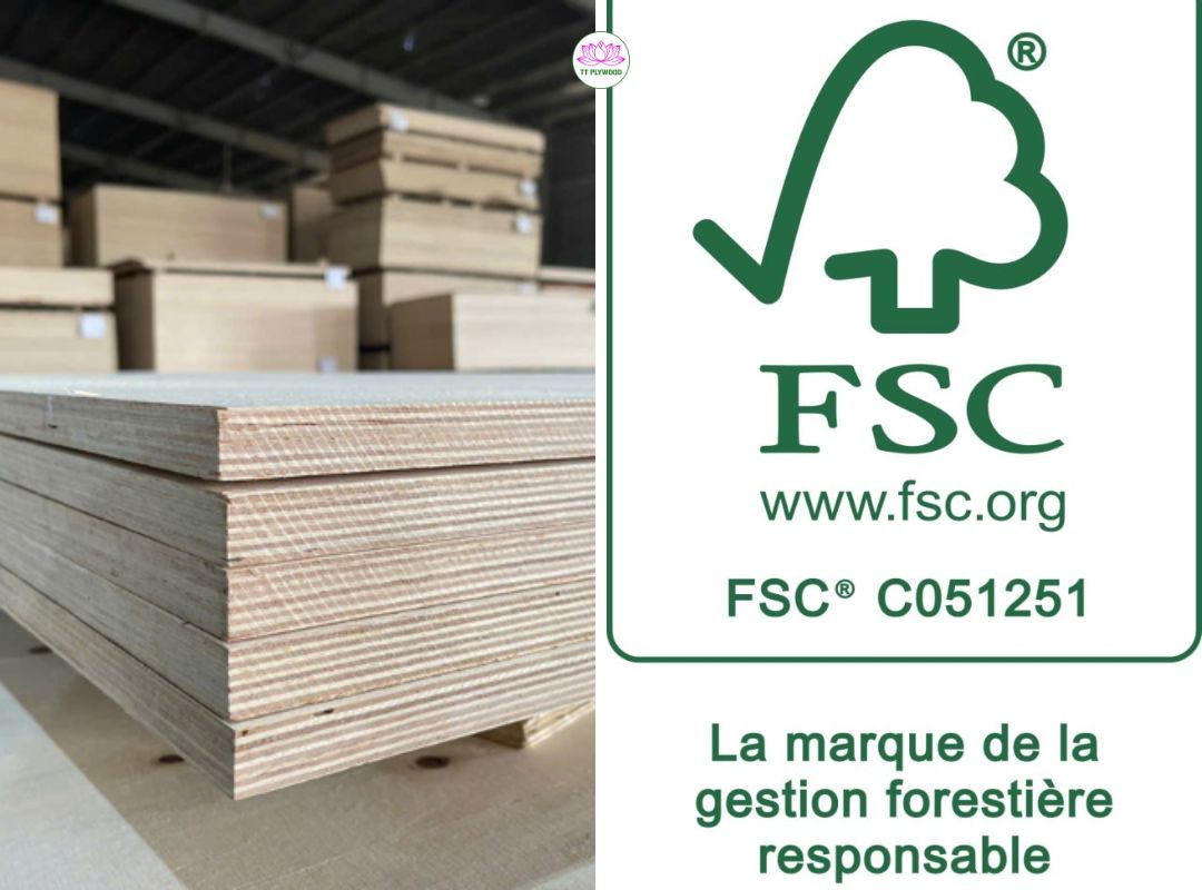 Sourcing FSC-Certified Contreplaqué from Vietnam: What EU Buyers Need to Know