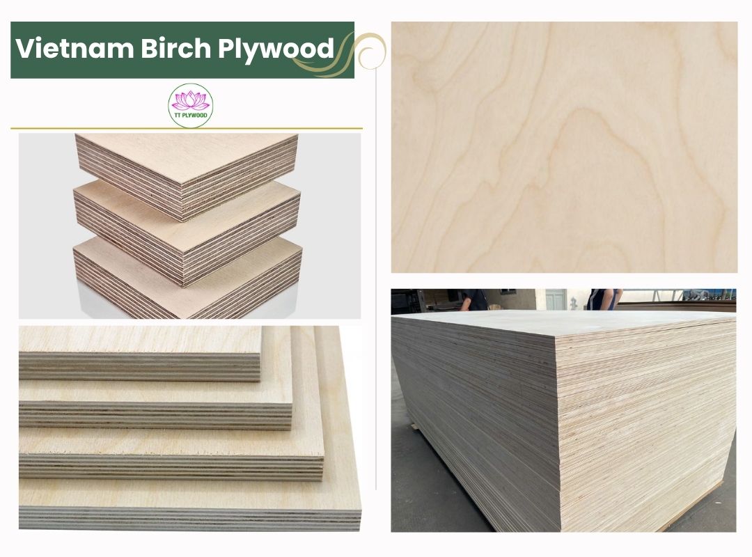 Vietnamese Birch Plywood – The Best Alternative to Baltic Birch (2025 Guide)