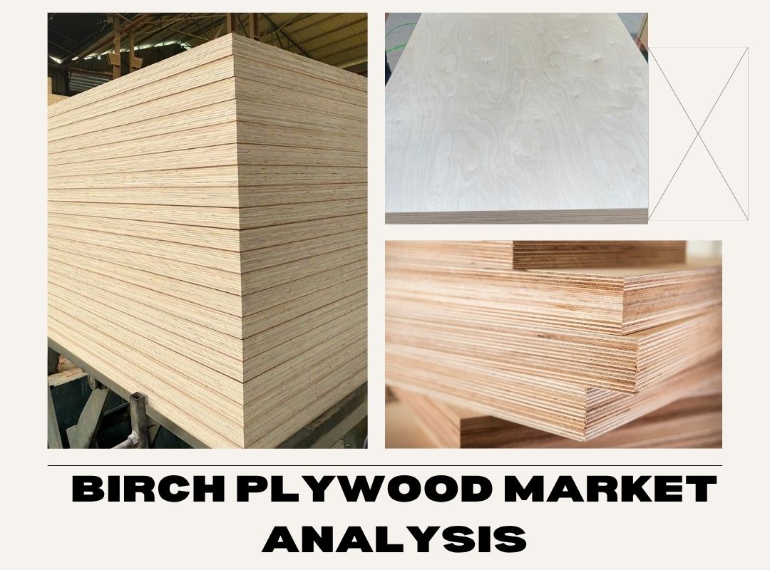 Birch Plywood Market Analysis: The Strategic Advantages of Vietnamese Sourcing