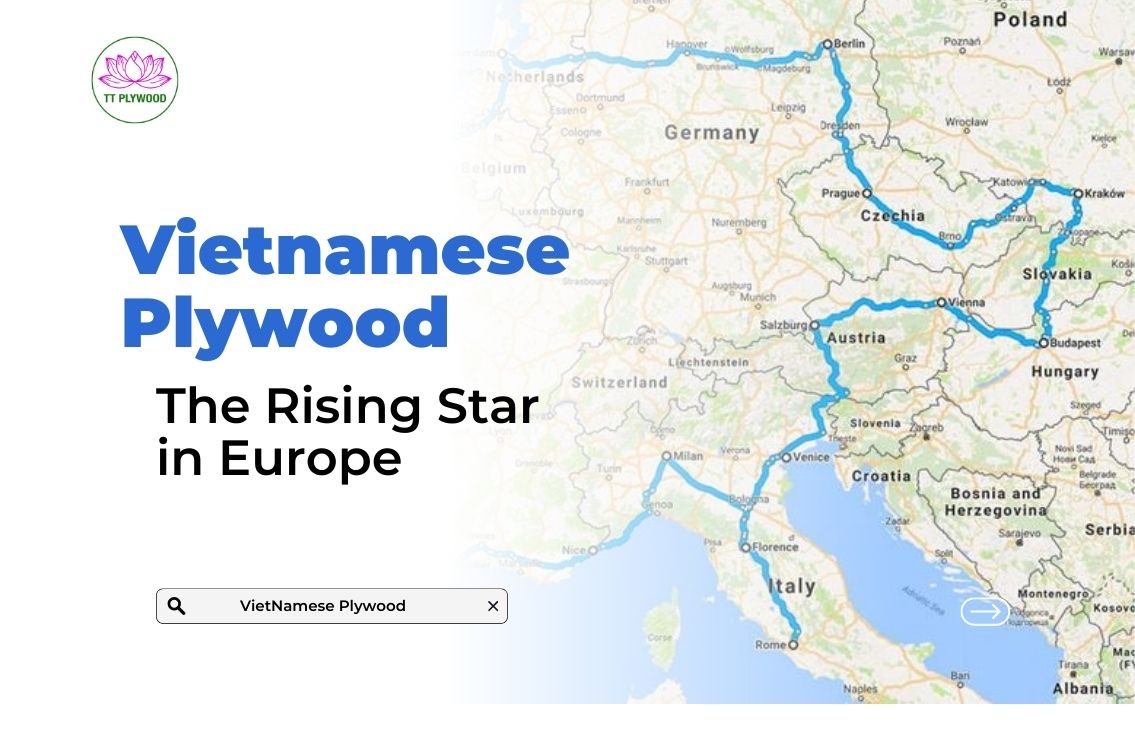 Why Vietnamese Plywood is Gaining Popularity in European Markets