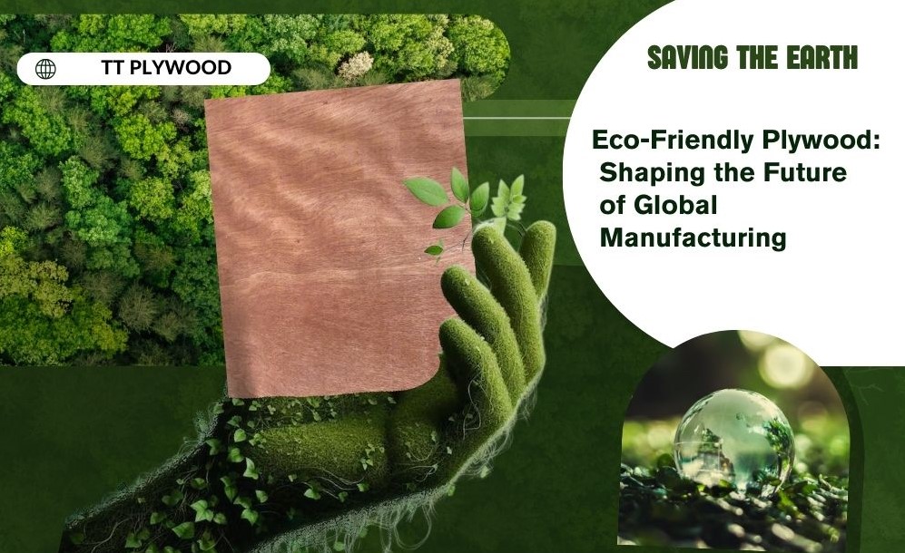 Why Eco-Friendly Plywood is the Future of Global Manufacturing?