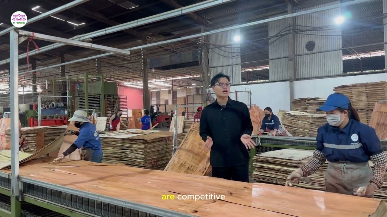 Vietnam vs China vs Baltic – which one should you choose for plywood sourcing?